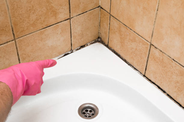 Best Mold Cleaning Services  in Green Springs, OH